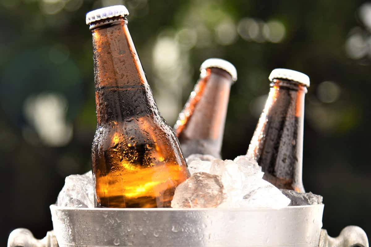 Bottles of beer in ice bucket outdoor backyard toasty show refreshment and summer relaxation.